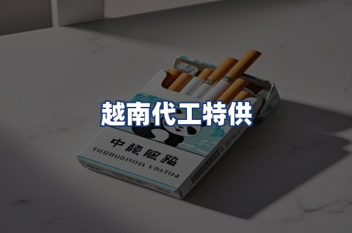 越南代工特供